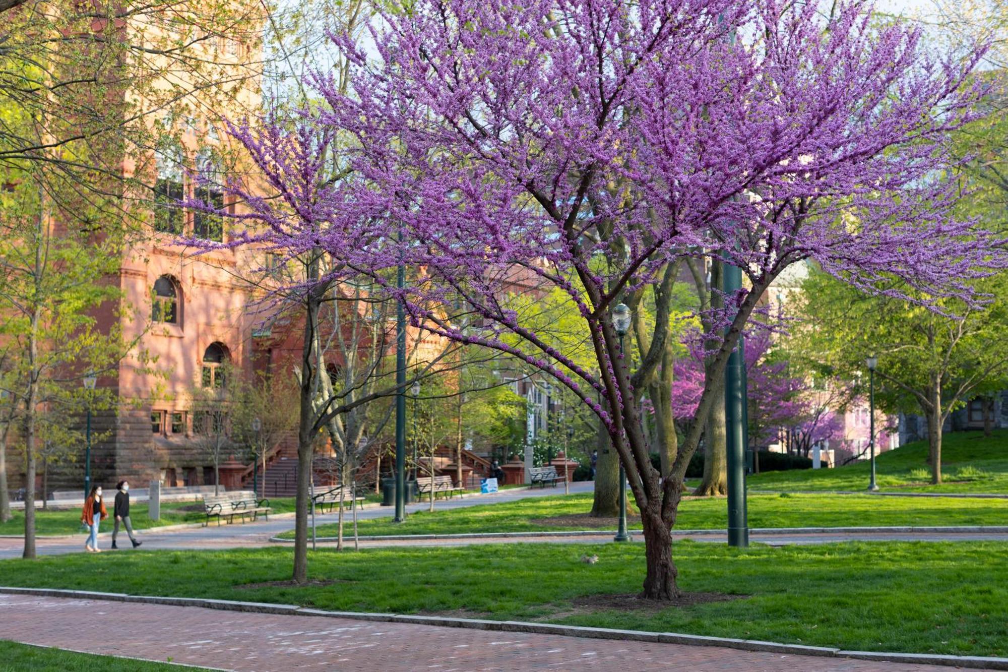 The Inn At Penn, A Hilton Hotel Filadelfia Exterior foto